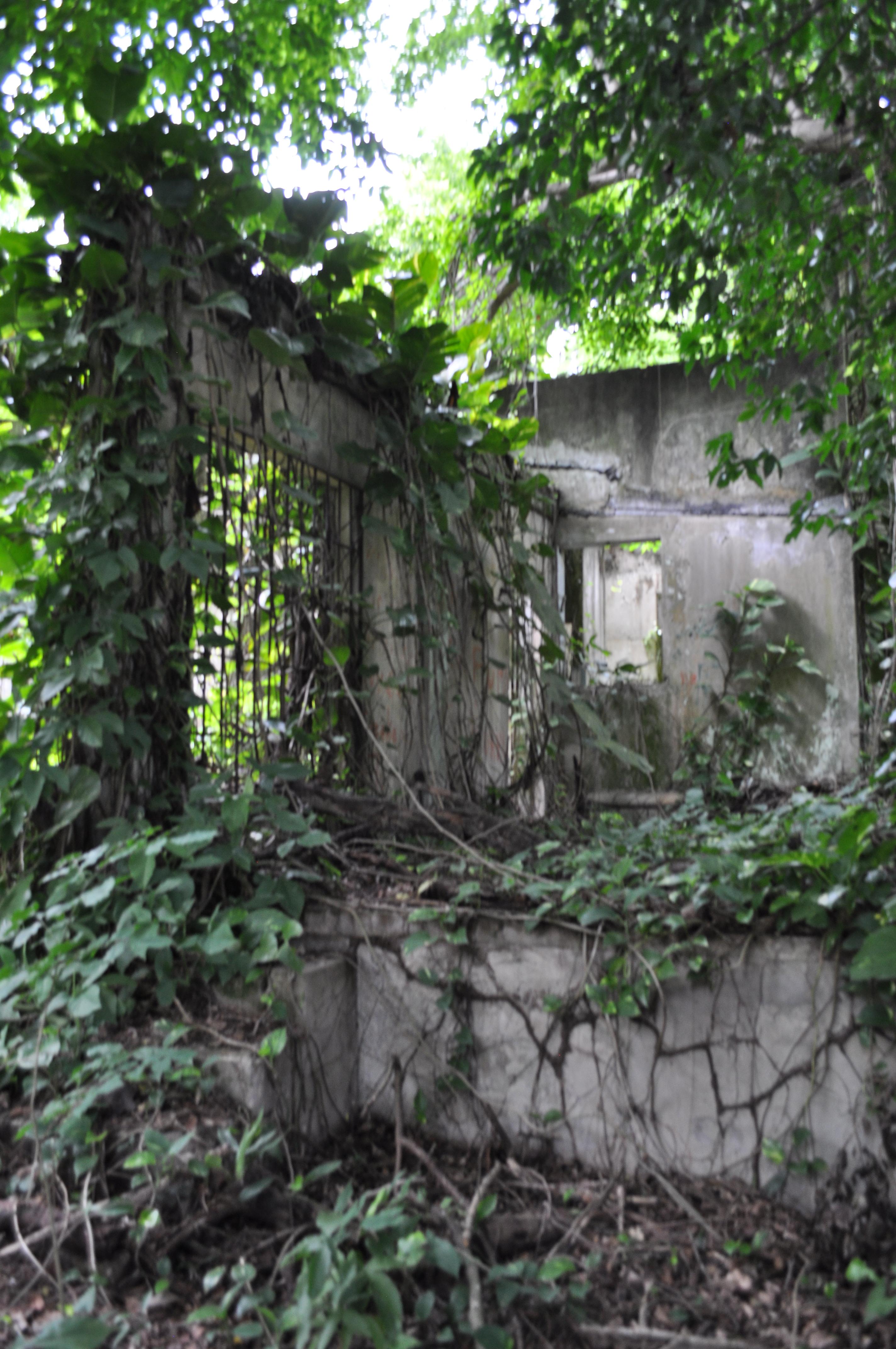 Antigua Lechería y Residencia de la Facultad de la Universidad de Puerto Rico - San Juan (Río Piedras) - 2015 00047